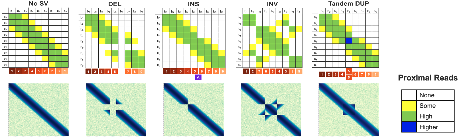 TruPath colocation plots