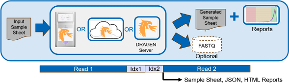 BCL Autodetect Flow