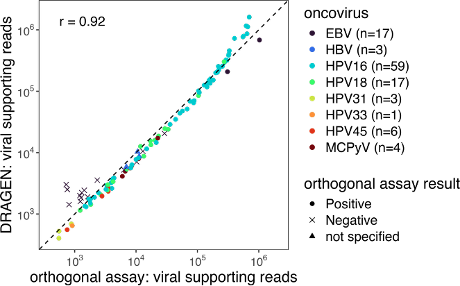 Oncoviral Detection