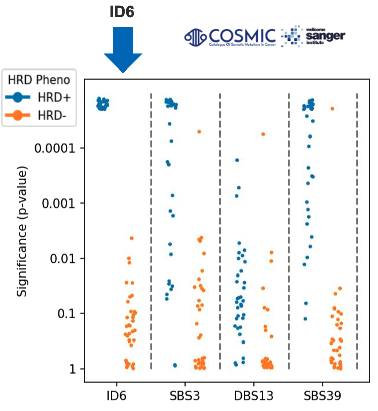 Mutational Signatures