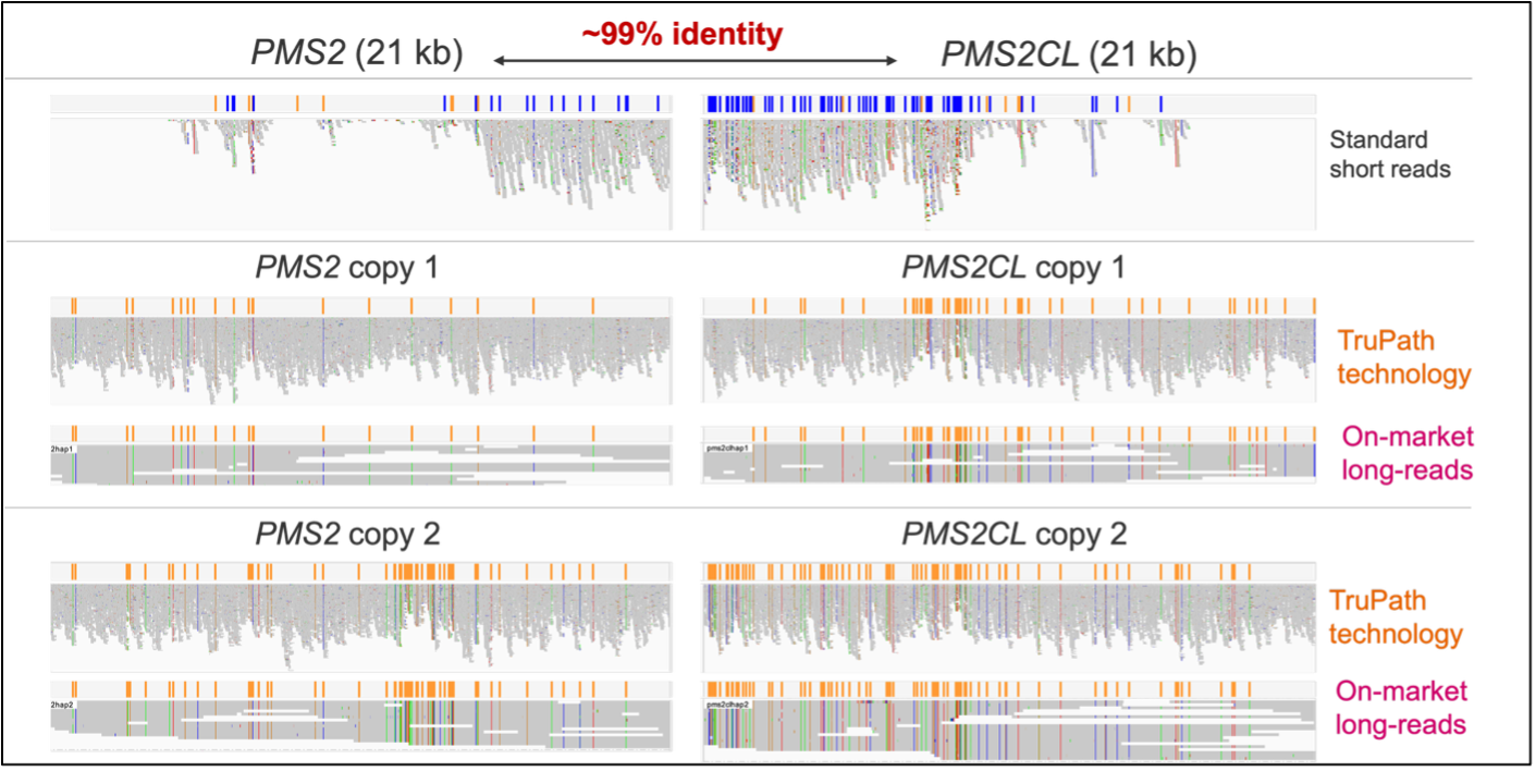 Haplotype-Resolved Variant Calls in *PMS2* and *PMS2CL*